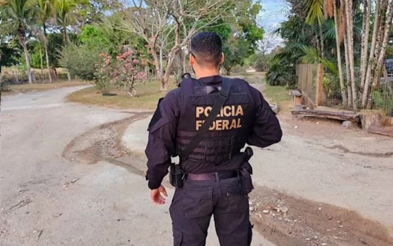 Operação da PF contra devastação na floresta amazônica PF/Divulgação