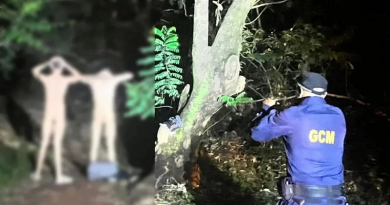 presos-sexo-bosque-dos-buritis