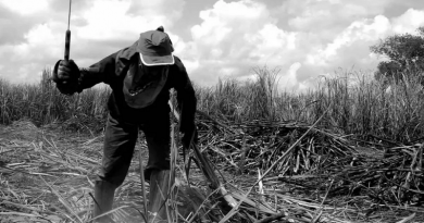 trabalho-escravo-img-1068x596