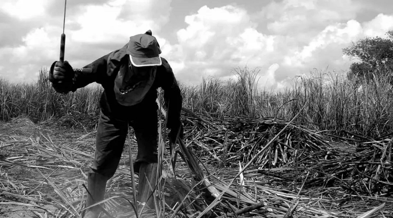 trabalho-escravo-img-1068x596