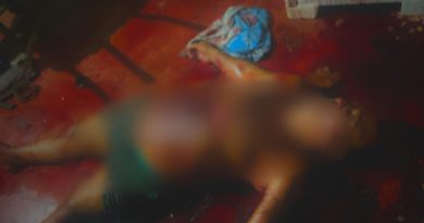 50673e2b-c363-482a-8bac-bfd6d598054c