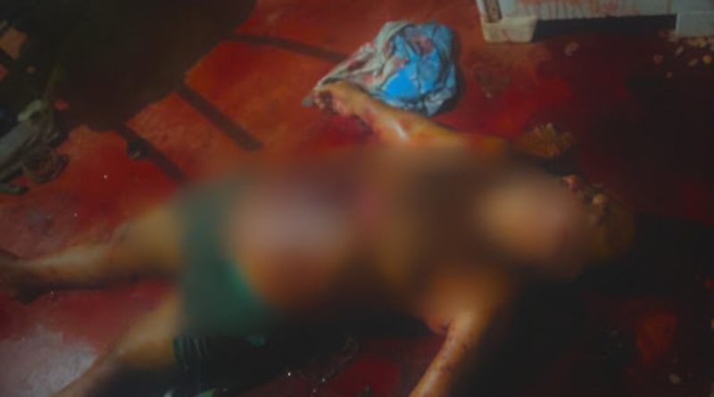 50673e2b-c363-482a-8bac-bfd6d598054c