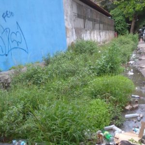 WhatsApp-Image-2024-01-02-at-10.29.18-AM-480x480