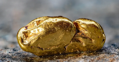 descubierta-una-bacteria-que-consigue-convertir-la-materia-en-oro-de-24-quilates-1704027375732_1024