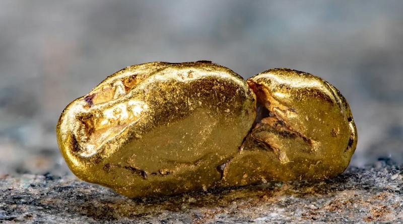 descubierta-una-bacteria-que-consigue-convertir-la-materia-en-oro-de-24-quilates-1704027375732_1024