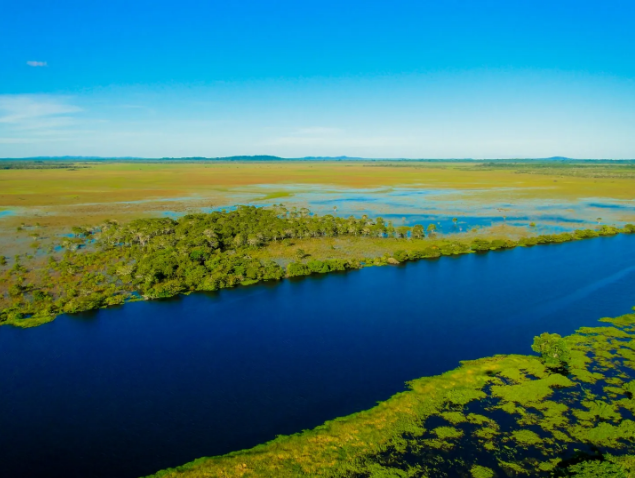 Rebio Guaporé. Foto: ICMBio