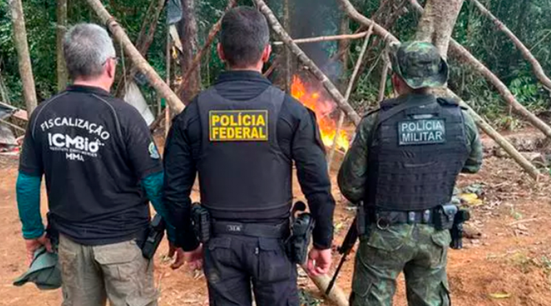 📷 Ação contou com agentes do ICMBio, Polícia Federal e Polícia Militar |Divulgação/PF