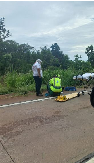 imgpsh_fullsize_anim