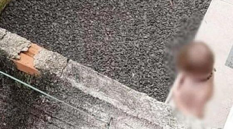 menino-de-2-anos-560x375