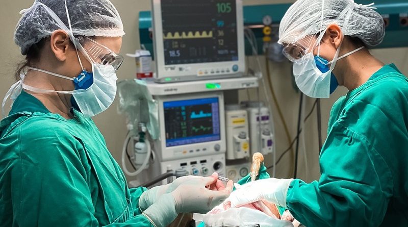 HRSP é referência na especialidade Bucomaxilofacial em Marabá.