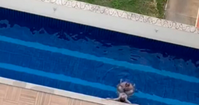 casal-faz-sexo-em-piscina.jpg