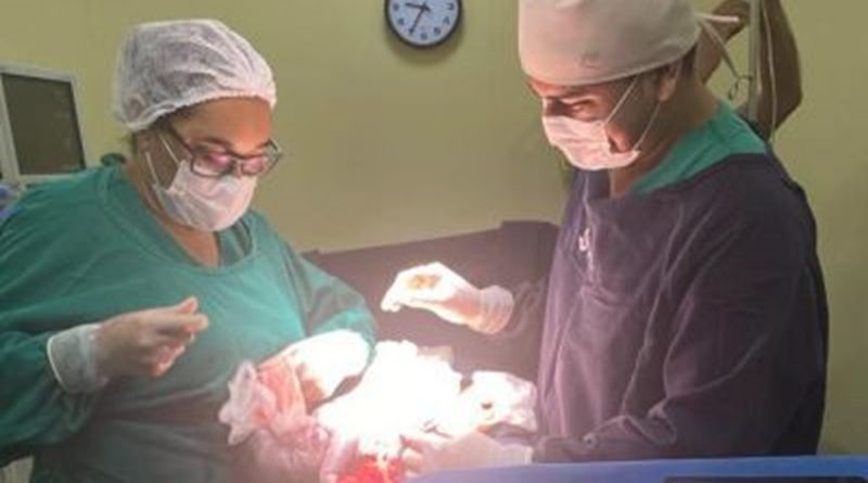 Foto: Rosivaldo Almeida / AG.PARÁ