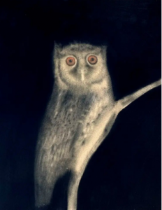 A simpática corujinha-do-Xingu foi retratada por Sarah Ball.  A arte feita de cinzas da Amazônia retrata uma corujinha do Xingu Sarah Ball / Megascops stagiae (2023)