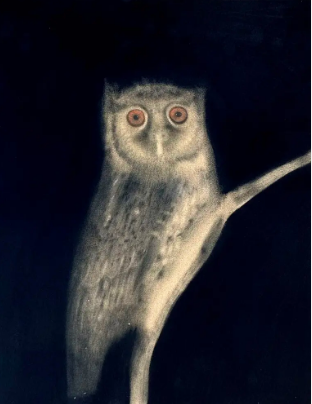 A simpática corujinha-do-Xingu foi retratada por Sarah Ball. A arte feita de cinzas da Amazônia retrata uma corujinha do Xingu Sarah Ball / Megascops stagiae (2023)