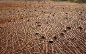 - Foto: Paulo Lopes - Ibama