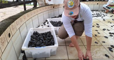 Moradores de comunidade no Oeste do Pará celebram sucesso do Projeto Pé-de-Pincha (2)