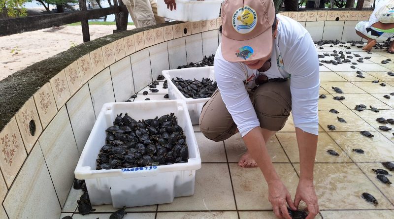 Moradores de comunidade no Oeste do Pará celebram sucesso do Projeto Pé-de-Pincha (2)