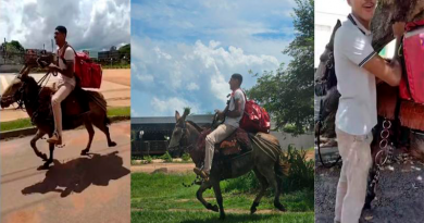 48b1bb2fc62f89d8097d1d316c15c5dd