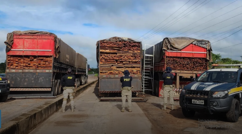 Foto: Reprodução/PRF