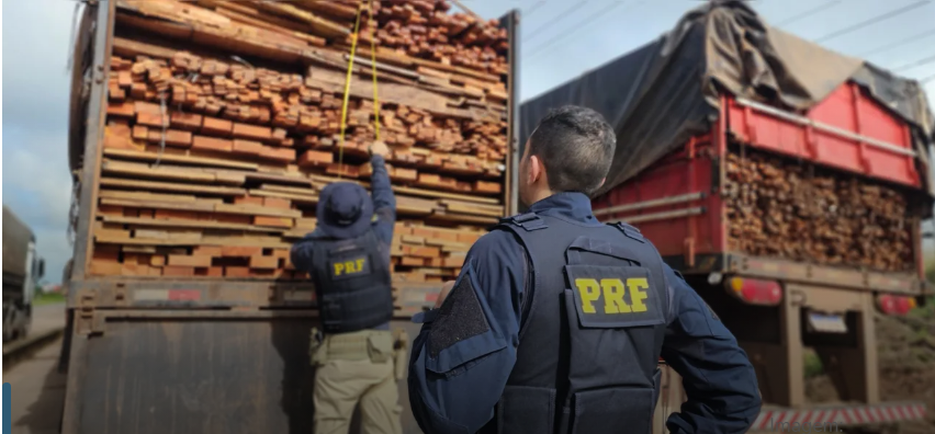 Foto: Reprodução/PRF