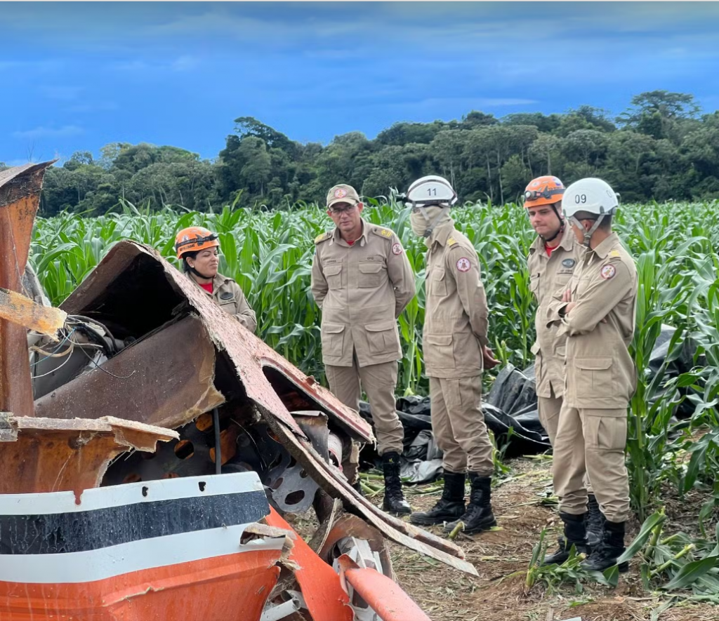 Bombeiros foram acionados para prestar socorro, mas o piloto já estava morto — Foto: Corpo de Bombeiros