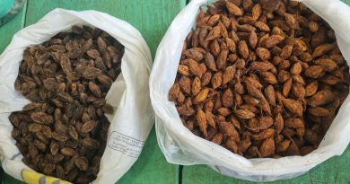 2024_04_17_Foto_MRN apresenta suas operações para coletores de sementes da região Oeste do Pará (1)