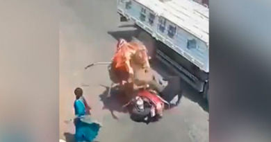 WhatsApp Image 2024-04-05 at 16.18.17.jpeg