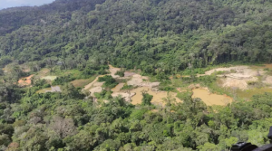 Área degrada pelo garimpo. — Foto: Ailton Alves/Rede Amazônica