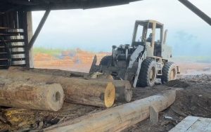 Ação investiga crimes ambientais no distrito Castelo dos Sonhos, em Altamira (PA). — Foto: Reprodução / PC-PA