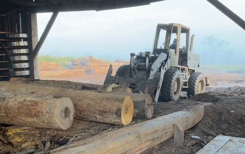 Ação investiga crimes ambientais no distrito Castelo dos Sonhos, em Altamira (PA). — Foto: Reprodução / PC-PA