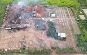 Ação cumpriu mandados de busca e apreensão, além de prisões preventivas. — Foto: Reprodução / PC-PA