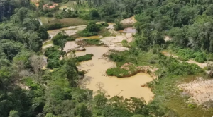 Área destruída pelo garimpo ilegal na região do Rio Catrimani, na Terra Yanomami. — Foto: Ailton Alves/Rede Amazônica