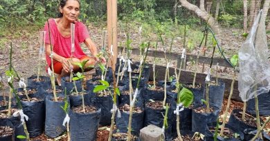 2024_05_06_Foto_Projeto incentiva geração de renda e preservação ambiental em Oriximiná (4)