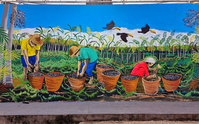 Arte em Cores 4ª edição - Artista Jonas Barros