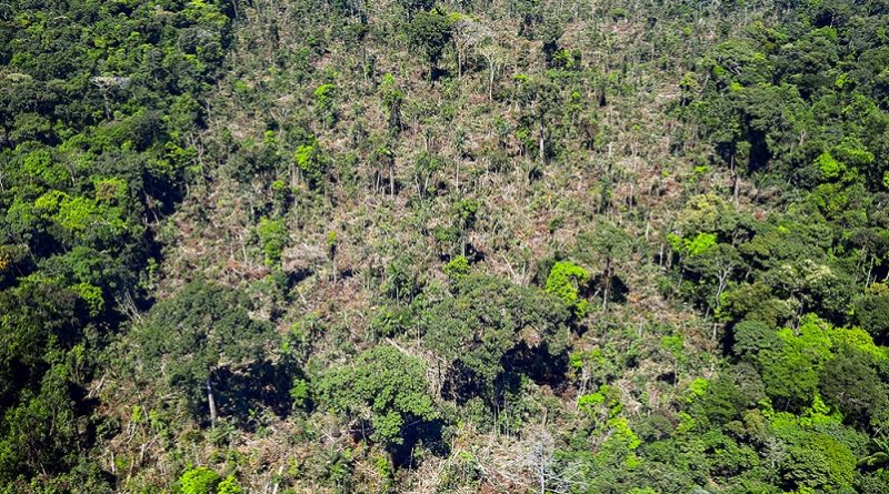 Painel de Sustentabilidade Integrada com indicadores sociais da cidade Brasil Novo, no Pará.