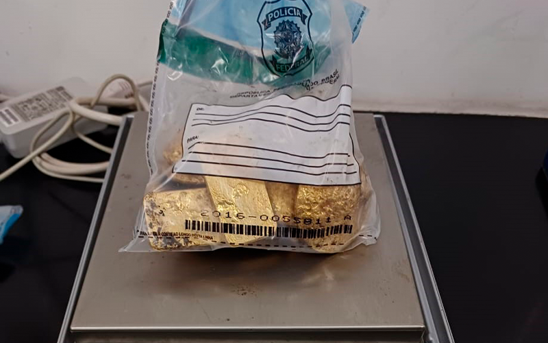 (Foto: Divulgação/ PC-AM)