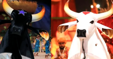 1_festival_de_parintins_conheca-25497960