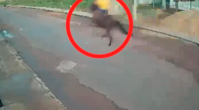 IMG-20240620-WA0505-696x387