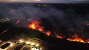 WhatsApp Image 2024-06-06 at 10.29.03 (1)