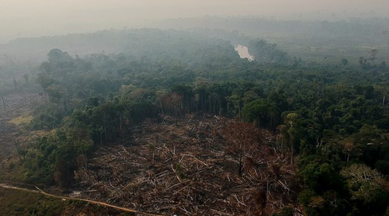 desmatamento-queimadas-Amazonia-1-848x477.jpg