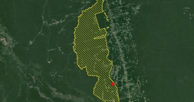 Área da Floresta Nacional (Flona) do Jamanxim (Foto: Reprodução)