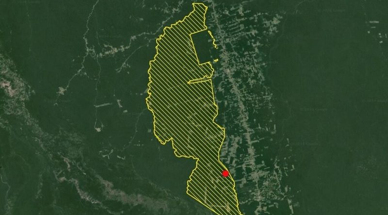 Área da Floresta Nacional (Flona) do Jamanxim (Foto: Reprodução)