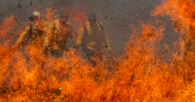 pantanal-queimada-incendio-960x540.jpg