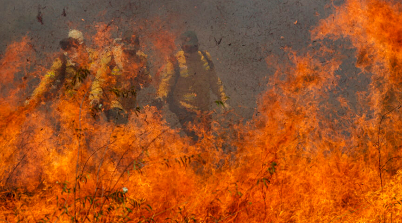 pantanal-queimada-incendio-960x540.jpg