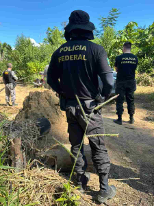 Os equipamentos são avaliados em cerca de R$ 2 milhões. Também foram apreendidos cerca de 140 metros cúbicos de madeira avaliado em R$ 70 mil | Foto: Divulgação/Polícia Federal