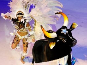 Galeria Festival Parintins 2024 - Boi Caprichoso - Fernando Frazão/Agência Brasil