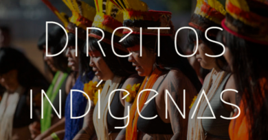 direitos-indigenas.jpg