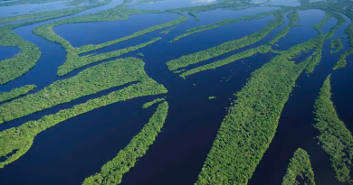 financiamento-da-sustentabilid