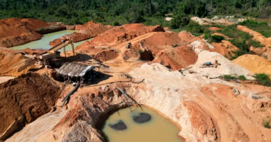 Garimpos ilegais foram fechados — Foto: Ascom/PF