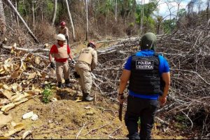 Operação 'Curupira': estratégia do Governo do Pará para coibir crimes e preservar a floresta | FOTO: ASCOM/PCEPA